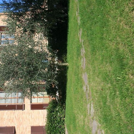 Podere Olmo Adriano Sovicille Exterior photo